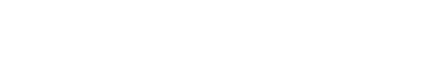AO-Mauritius Logo